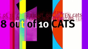 8 out of 10 Cats