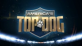 America's Top Dog